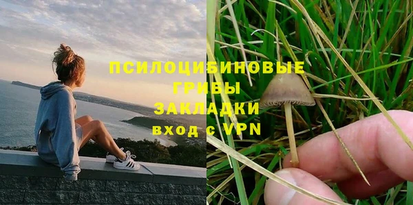 Альфа ПВП Белокуриха
