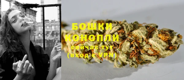 Альфа ПВП Белокуриха