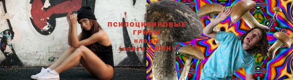 Альфа ПВП Белокуриха