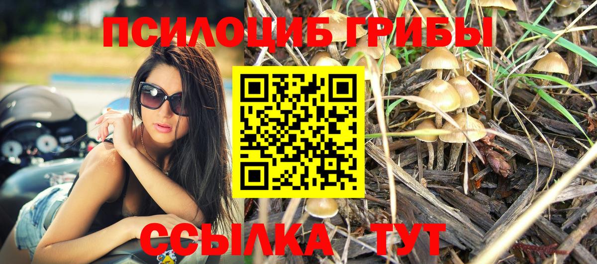 Галлюциногенные грибы Cubensis Видное