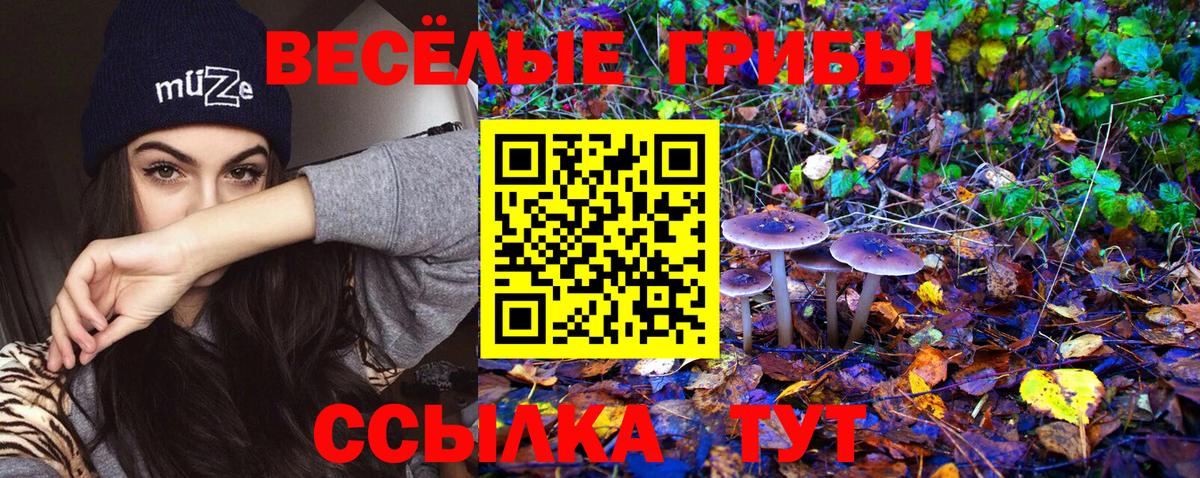Галлюциногенные грибы Psilocybe  Галлюциногенные грибы GOLDEN TEACHER  Вход с VPN  Видное 